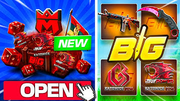 I GOT MY OWN CASE ON CSGOBIG! (INSANE PULLS)