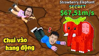Thi chui vào hang động sâu hẹp nguy hiểm để tìm...
