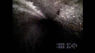 20140101 0000 02