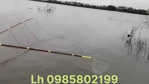 Thực tế đi test máy kích cá 🐠 kéo cáp không ngờ cá nổi như phao