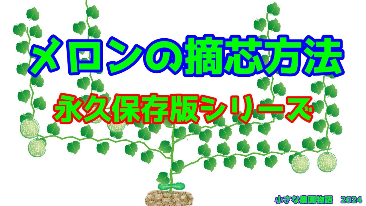 Melon] How to Pinch Melons - Permanent Edition Series - Produced