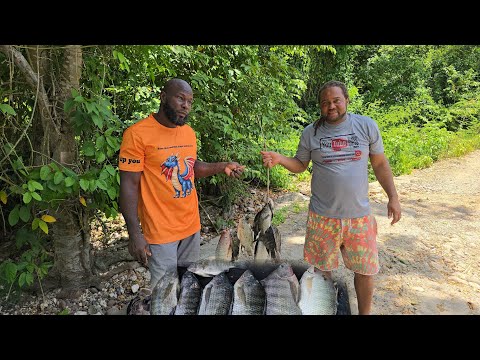 Epic fishing  adventure with yellow and ballhead 