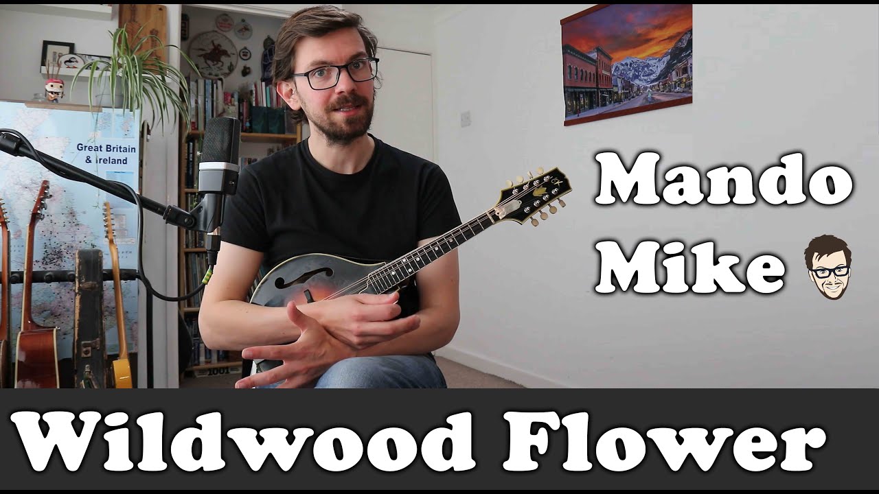 Wildwood Flower Melody & Chords Mandolin Lesson (Beginner