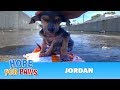 A brave little dog gets rescued from the river. His recovery with Hope For Paws will inspire you.