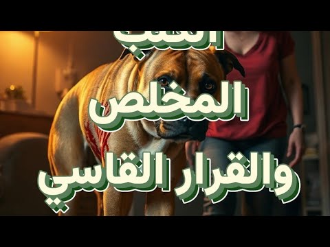الكلب المخلص والقرار القاسي كلب حب مأساة حماية صبر