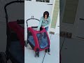 CUTE Shiba pup rides in her carriage like a Queen for the first time!
