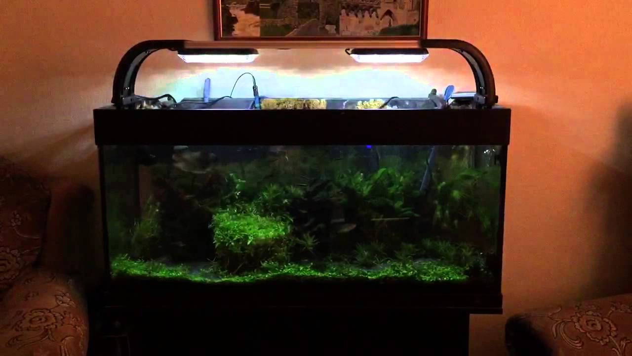 TMC Aquaray 1500 thunderstorm