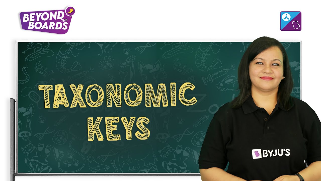 Taxonomic Keys - The Living World Class 11 Biology (Zoology) Concept Explained | NEET 2023 Exam