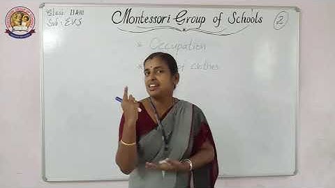 II&III Class  Environmental Science E V S 02 (22 07 2020)