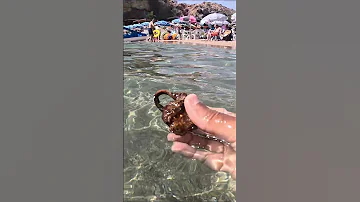 الشعوذة فوق الما و تحت الما Shorts Short Metaldetecting شاطئ كاشف ترند Trending اكسبلور درهم 