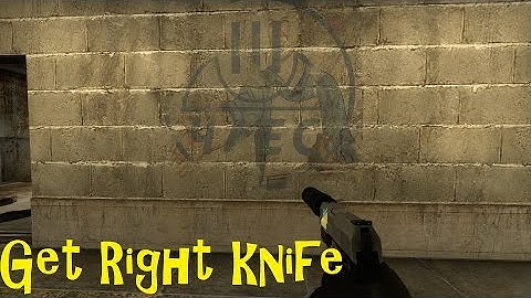 CS:GO Pro NIP Get Right epic clutch vs Dignitas