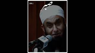 sabr karna seekho|🤫tariq jameel status| emotional bayan status |hazrat touching lines🥺| #AmMuslim