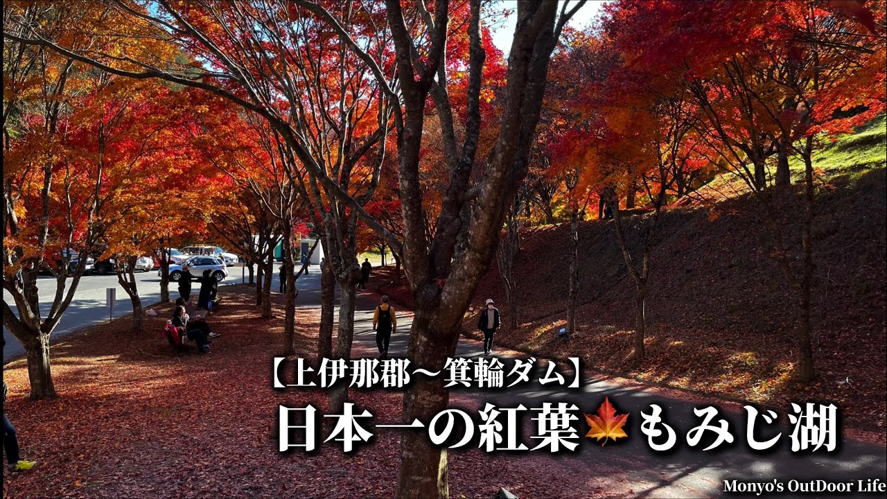 【南信州〜箕輪ダム】日本一の紅葉🍁もみじ湖