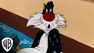 Looney Tunes Super Stars: Sylvester & Hippety Hopper | Cats Beat Mice | Warner Bros. Entertainment