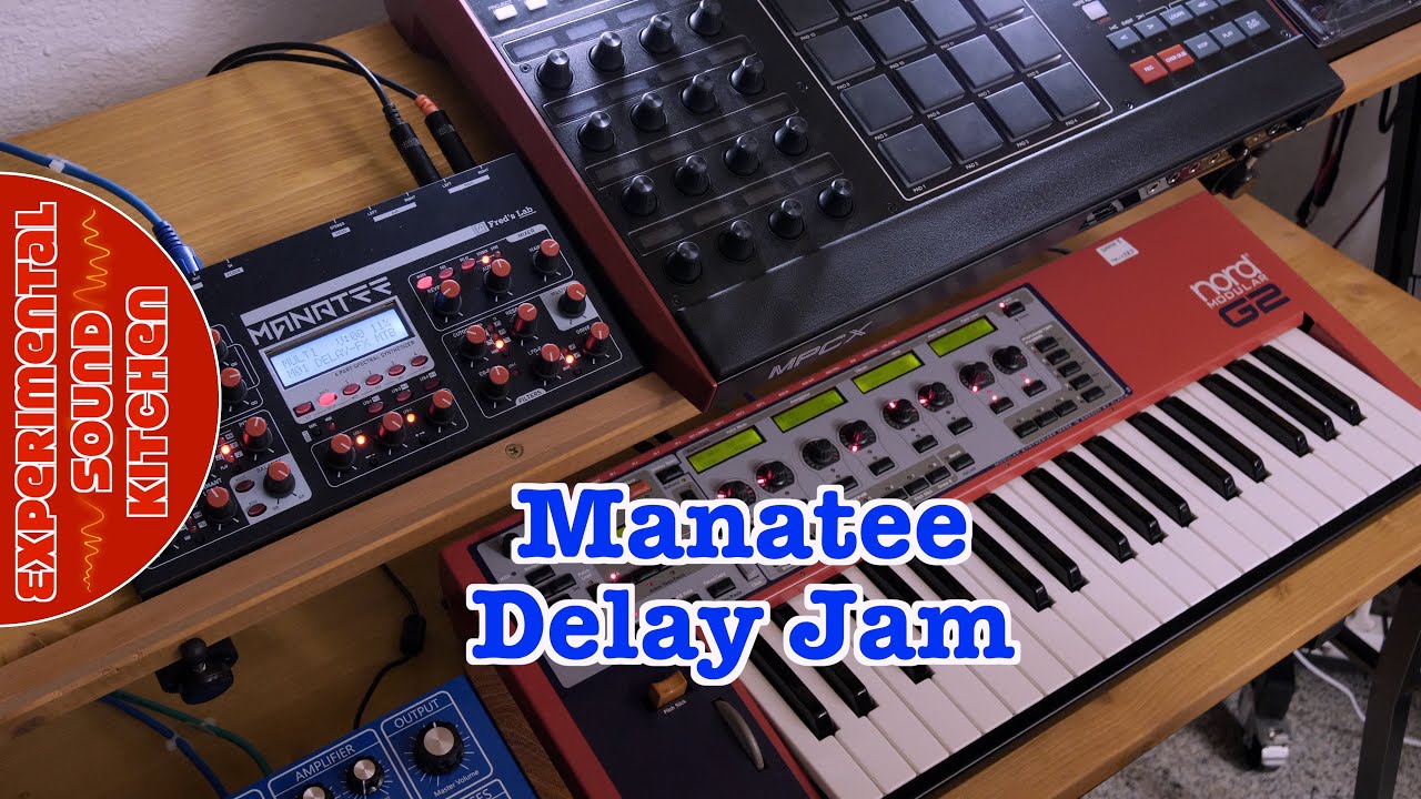 ESK - Manatee Delay Jam