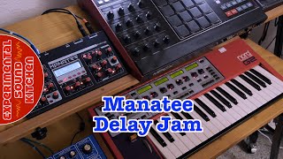 ESK - Manatee Delay Jam