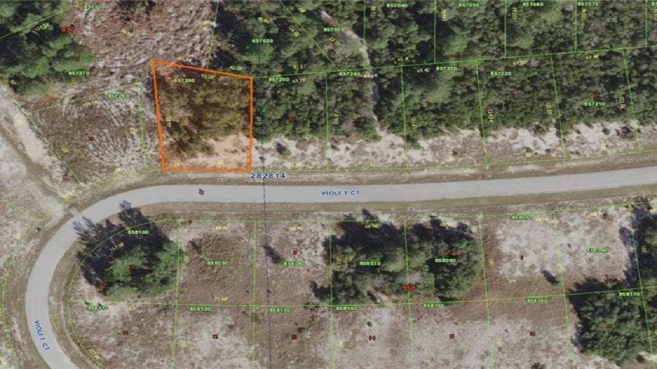 125 VIOLET COURT, POINCIANA, FL Presented by The Florida Tolbert Team.