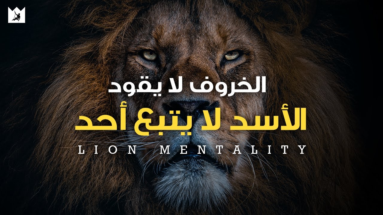 ⁣عقلية الأسد | الكل يريد أن يأكل، لكن القليل منهم على استعداد للصيد | أقوي خطاب تحفيزي