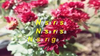 Nisarisa jeans theme with lyrics