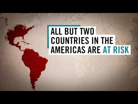 ზიკას ვირუსის ვაქცინა შესაძლოა წლის ბოლოს დამზადდეს