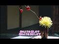 「花は黙って咲いている」北島三郎/歌唱:高比良よしのり