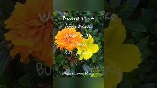Proverbs 27 : 4 “Bible Verse” | Inspirational Days Proverbs 27 : 4 “Bible Verse” | Inspirational Days