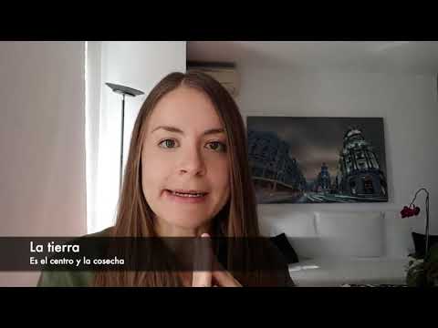 Módulo 3: Alimentación según la MTC / Los cinco elementos