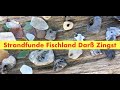 Fundstücke Spaziergang Fischland  Darß Zingst Weststrand Ostsee - Viel Natur kein Gequassel