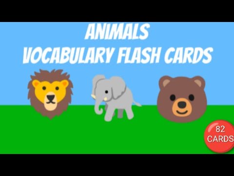 All Animals | Vocabulary Flash Cards | The Learning Station