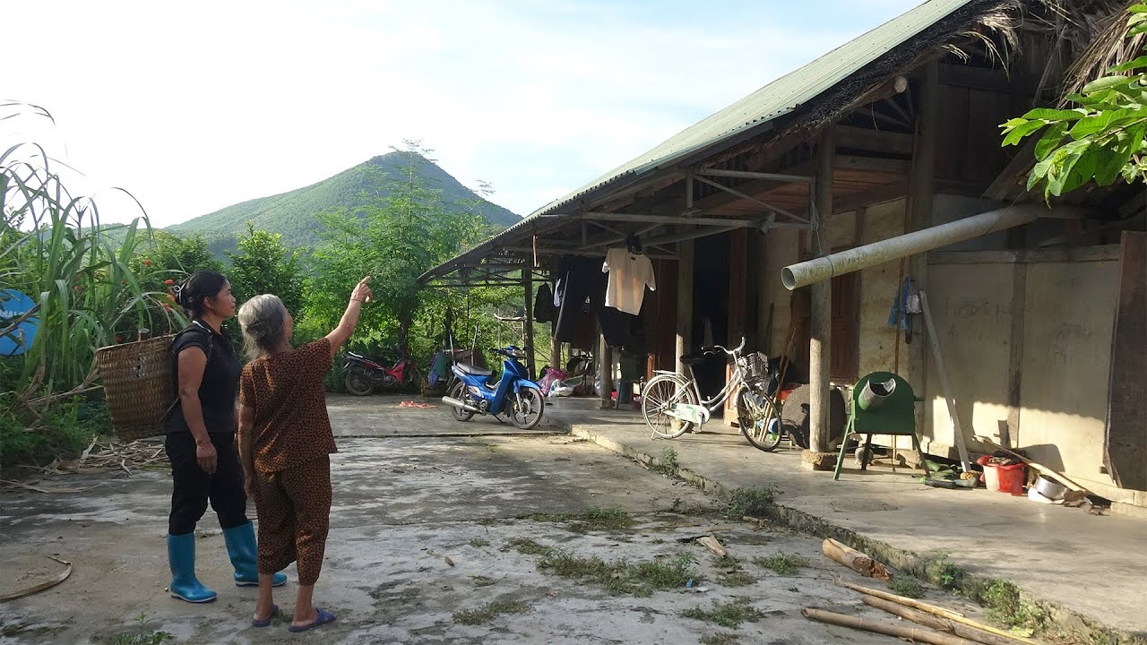 Evicted Girl CLEAN UP Abandoned Land to Build DREAM House and Farm
