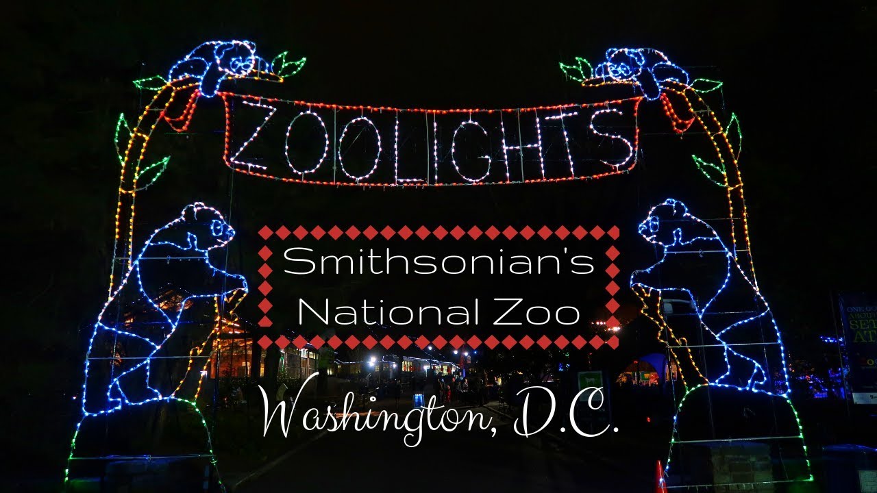 zoo lights washington dc
