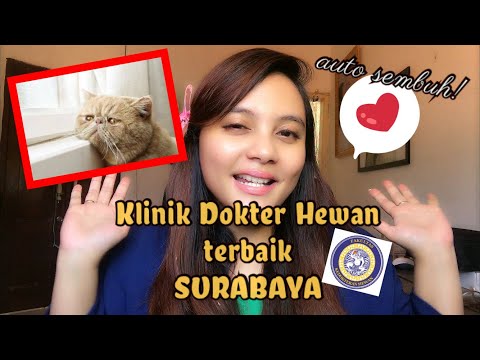 Video: Klinik Hewan: Memilih Yang Terbaik