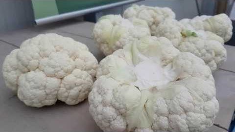 Cauliflower floretting - cutting - Floreto | Sweere