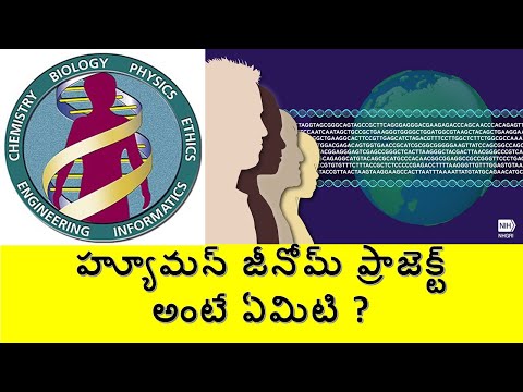 What Is Human Genome Project (1990 - 2003) ? || హ్యూమన్ జీనోమ్ ప్రాజెక్ట్ అంటే ఏమిటి ?