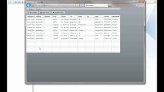 TestComplete: Testing Flash/Flex Applications With Runtime Loader