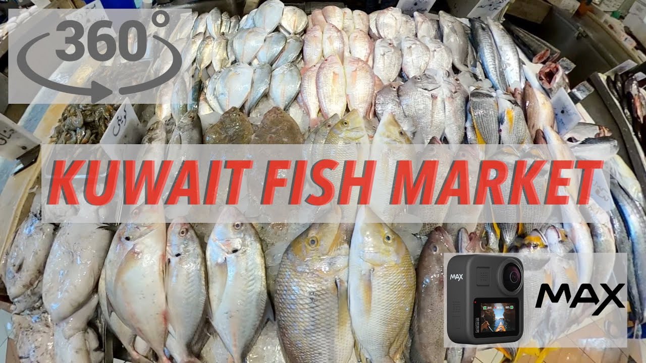 USING THE GO PRO MAX IN KUWAIT FISH MARKET MR CLEAVERS BUTCHER SHOP