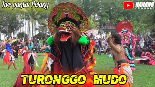 Jaranan TURONGGO MUDO ft SEKAR MAYANG BUDAYA Larong Segoro di pantai Pelang panggul Trenggalek 2022