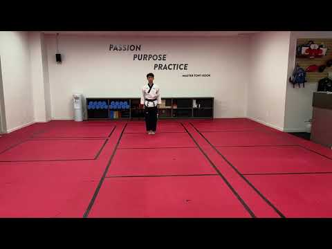 2021 백석대학교 총장배 온라인 국제 태권도 대회 ( U 30 결승전 평원 - Lawrence Ka Hei Ng)