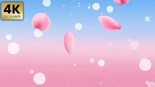 Royalty Free Romantic Rose Petal Background Animation Template Pink Blue Theme