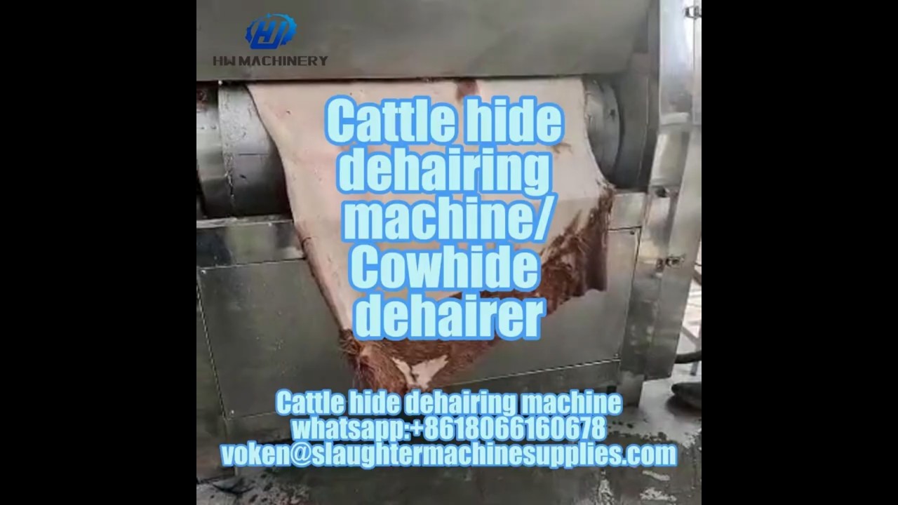 Cattle hide Dehairing Machine | Abattoir Equipment for Slaughter Line | Nanjing Hongwei