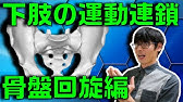 四辺形ソケット 坐骨収納型ソケット 大腿義足ソケットの種類と機能 No 116 理学療法士国家試験対策 シリーズ Youtube 四辺形ソケット 坐骨収納型ソケット 大腿義足ソケットの種類と機能 No 116 理学療法士国家試験対策 シリーズ Youtube