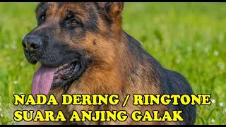 RINGTONE SUARA ANJING MENGGONGGONG SEREM BANGET