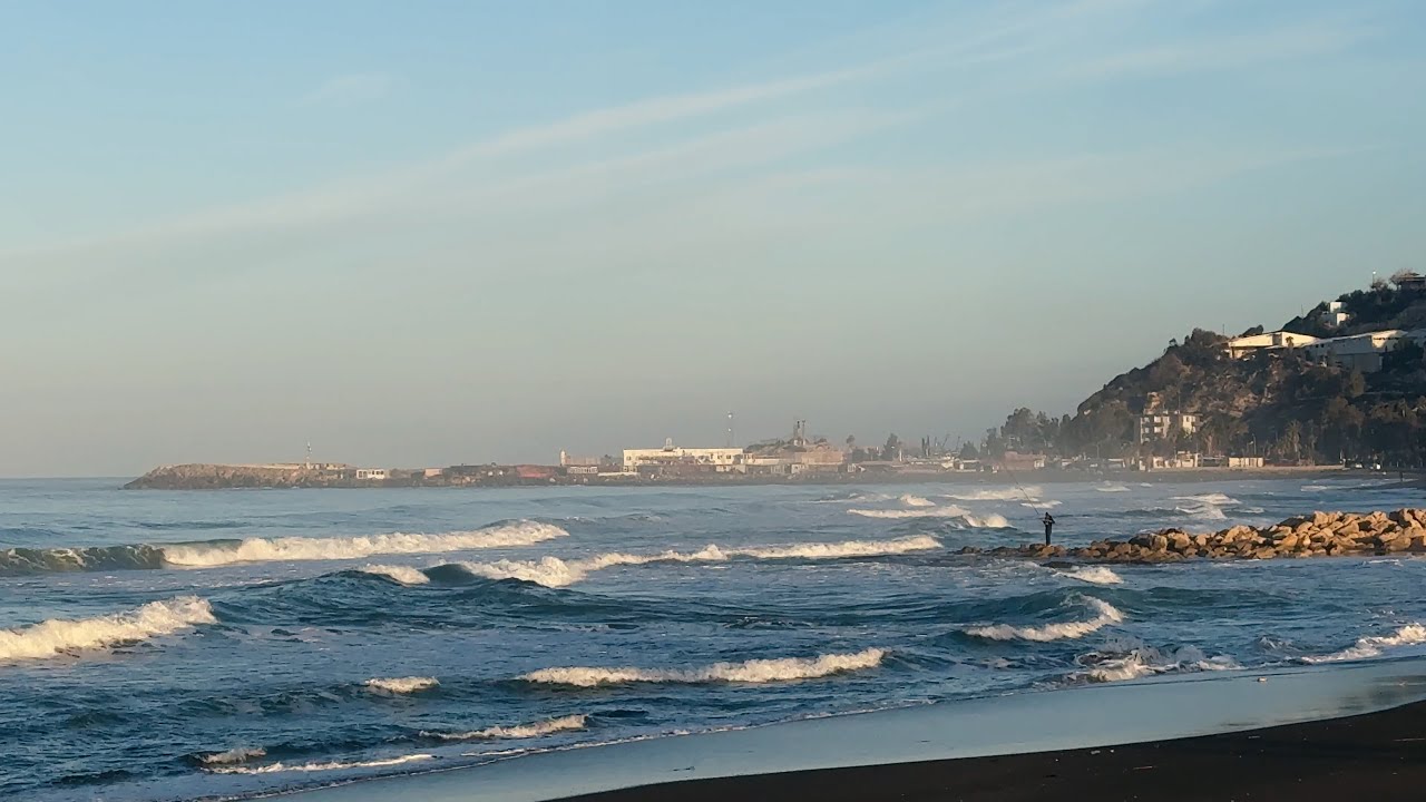 [현장] 실루기아