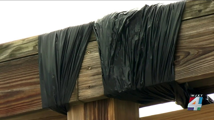 Beachgoers describe moment when lightning struck St. Augustine Pier injuring 3 people