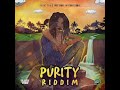 Reggae instrumental 2023  purity  riddim 