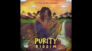 Reggae instrumental 2023 (Purity  Riddim )