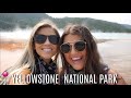 A DAY IN YELLOWSTONE NATIONAL PARK!