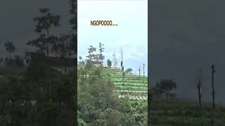 Pae Kon Bali Entok Bantuan