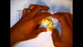3 6 1 Introduction to Sampling Distributions