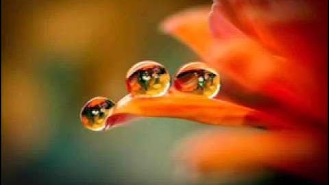 سورة ال عمران برواية ورش.الاصبهاني.ابو عبد الله المظفر